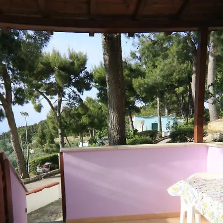 Charming In With Shared Pool 40 M² Apartment *